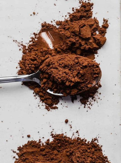 cuillere de poudre marron de caroube